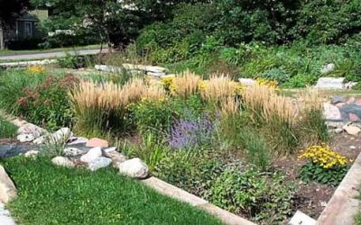 Rain Garden
