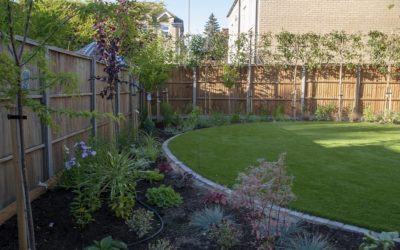 Basic Landscaping Tips for Beginners
